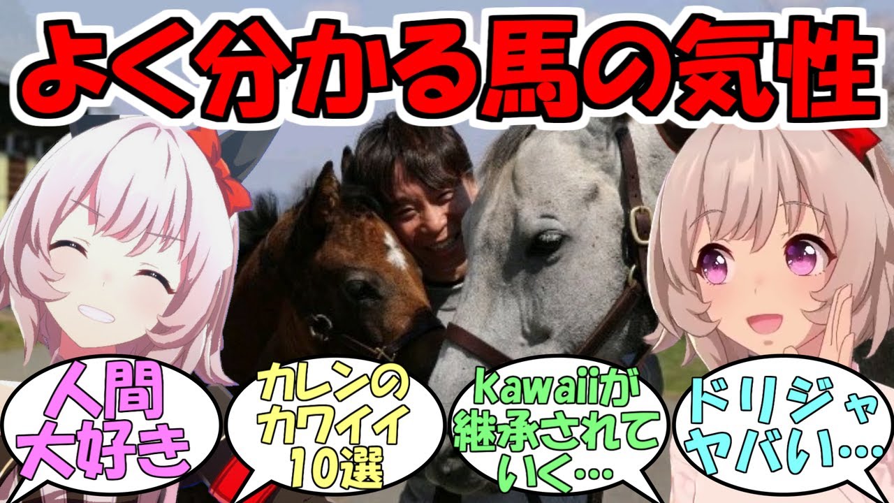 『よく分かる馬の気性カレンチャンは本当に賢くて人間大好きだな』に対するみんなの反応【ウマ娘プリティーダービー】
