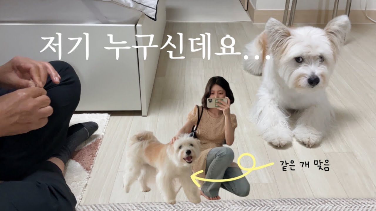 3년 만에 만난 아빠와 딸 그리고 갑자기 할아버지가 생겨 당황스러운 쭈굴 강아지의 4박5일 이야기