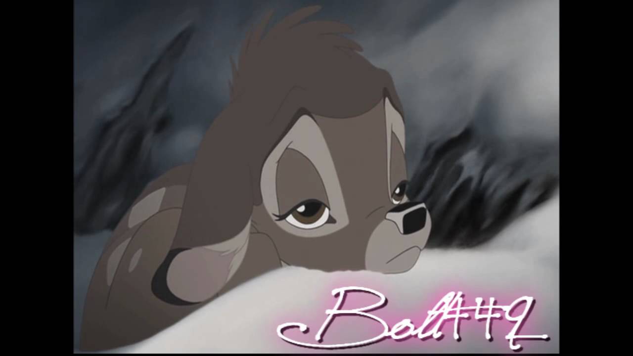Bambi Shattered