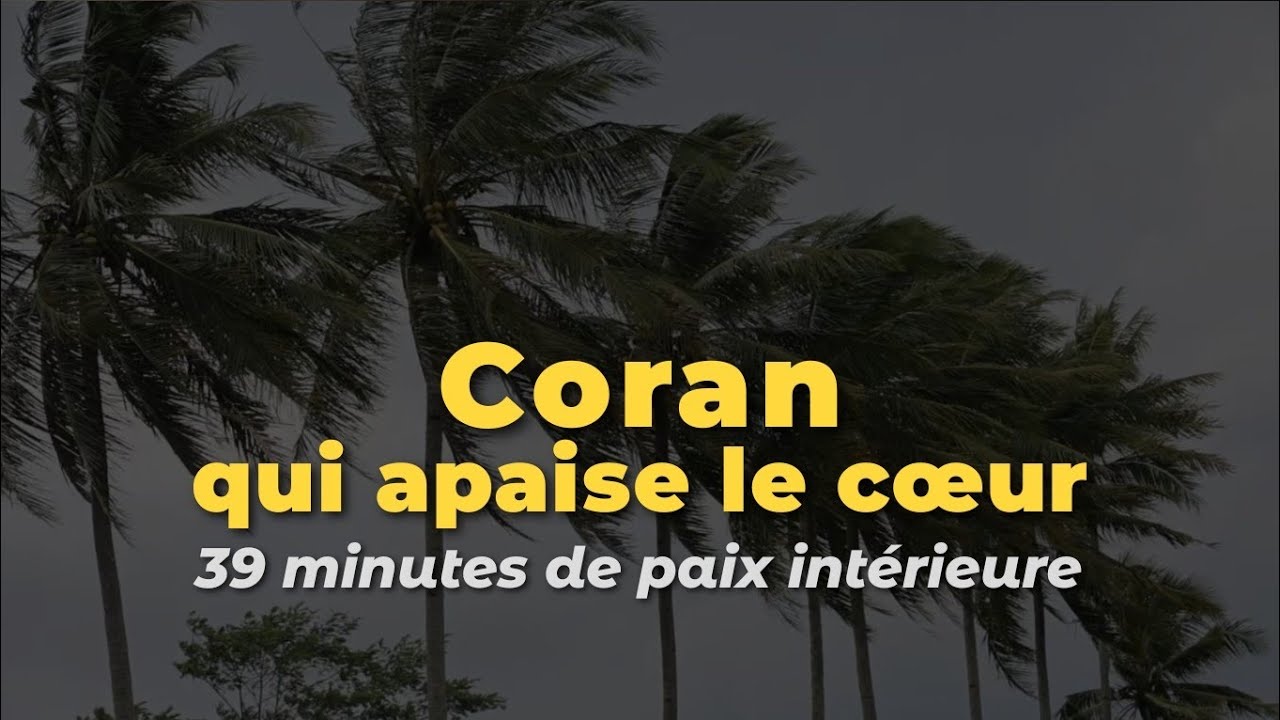 Coran — un remède pour le cœur | 39 minutes de sérénité #coran #paix #apaisement