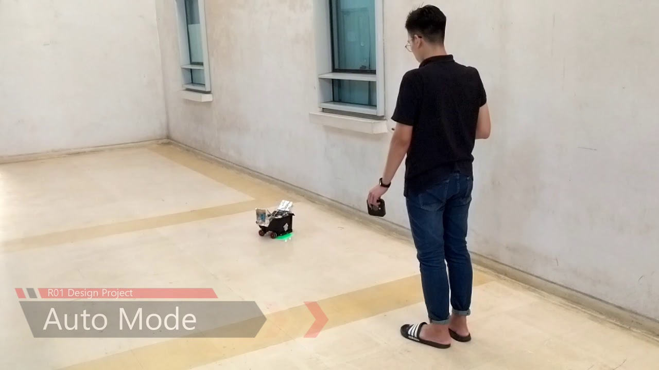 Target Following Cargo Robot