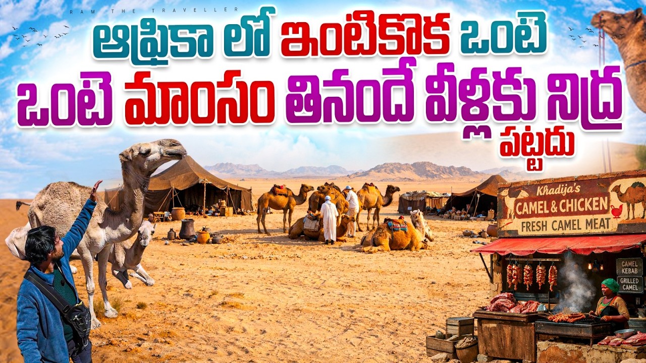 Africa 🇪🇹 సోమాలియా వాళ్ల ఊరు | Jijiga City Travel | Camel Market, Mountain Views & My Tough Journey