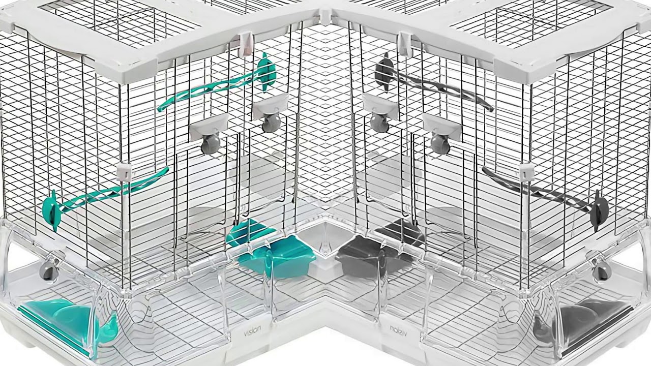 Exotic Pet Birds - Vision Cages
