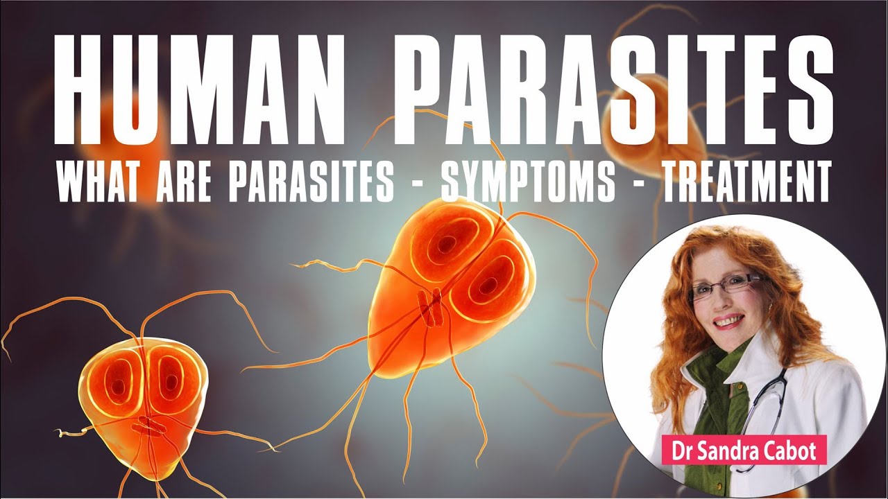 Kill Parasites in Humans | Symptoms | Treatment 