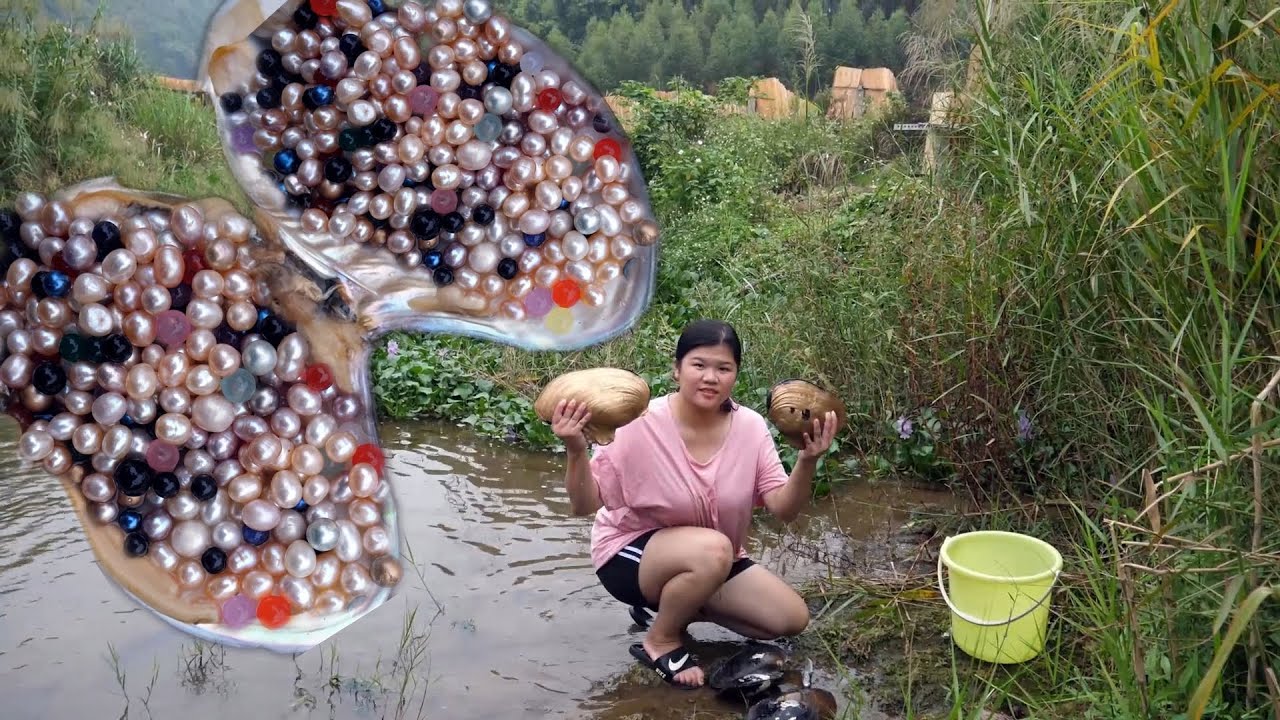 Золотые устрицы имеют разноцветный жемчуг, я охотился за жемчугом в устрицах на пляж