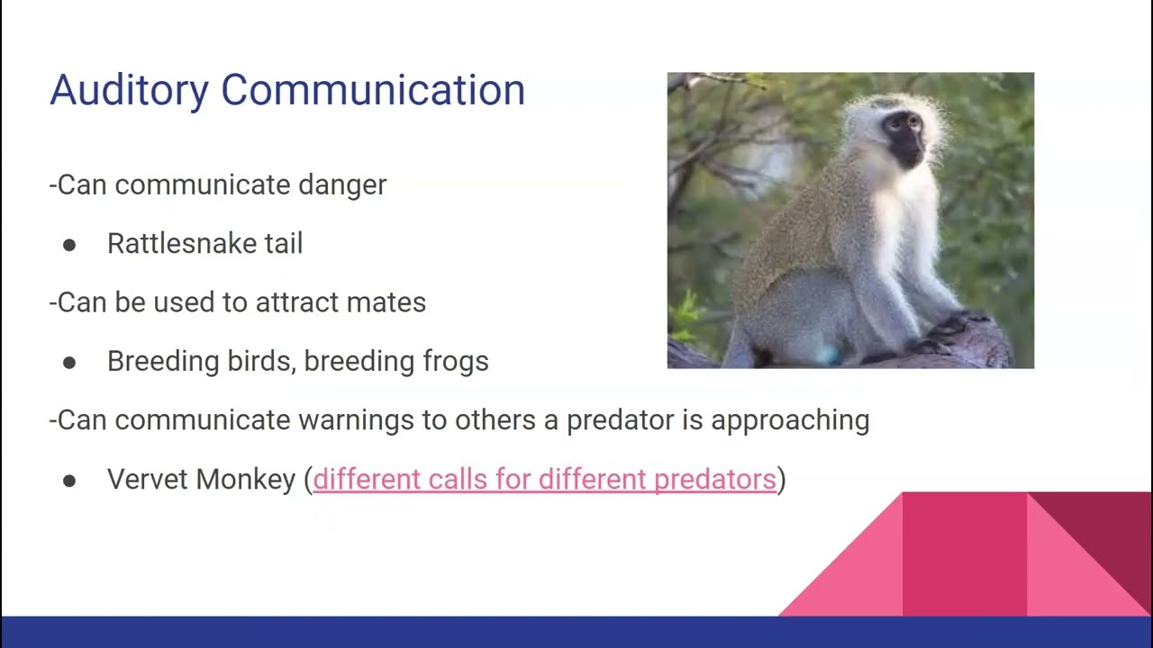 Unit 8-1 Ecology Notes
