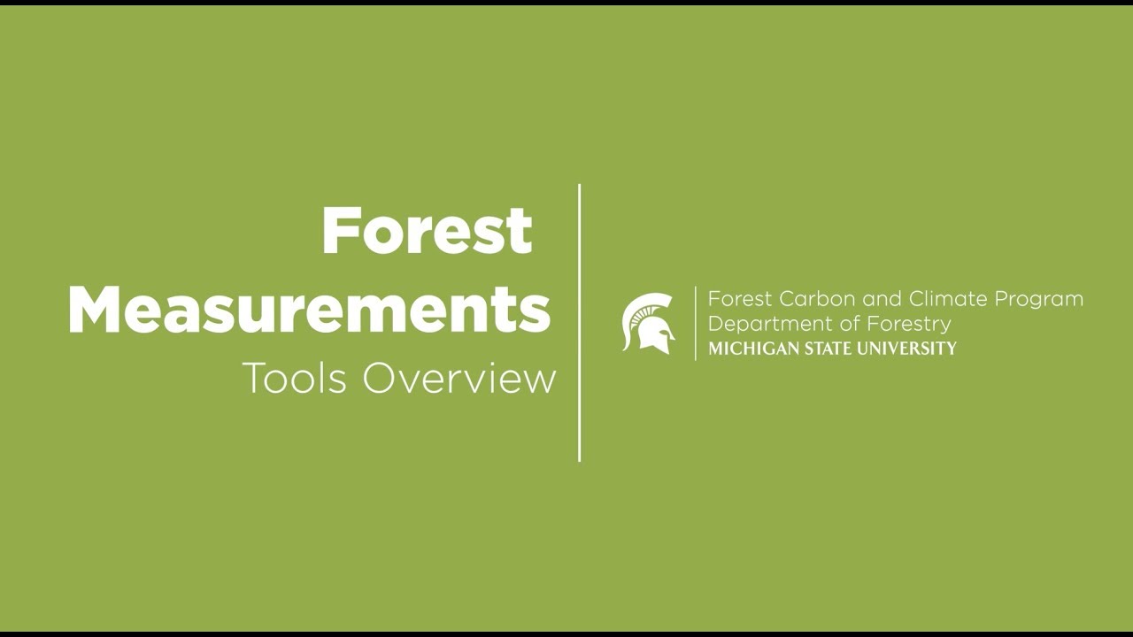 Packing Your Forest Carbon Backpack