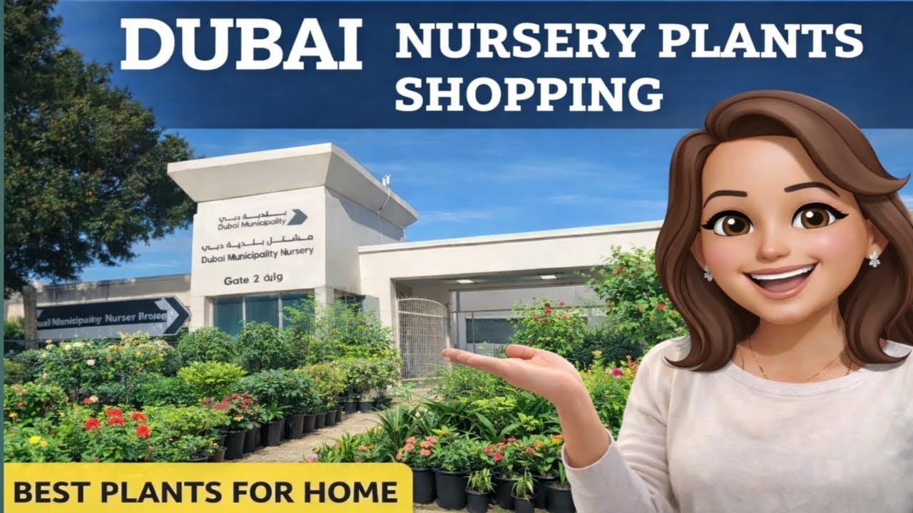 ‘’Dubai Nursery Vlog 🌿 Winter Garden Shopping Starts! | Government Nursery Update | Telugu Vlog”
