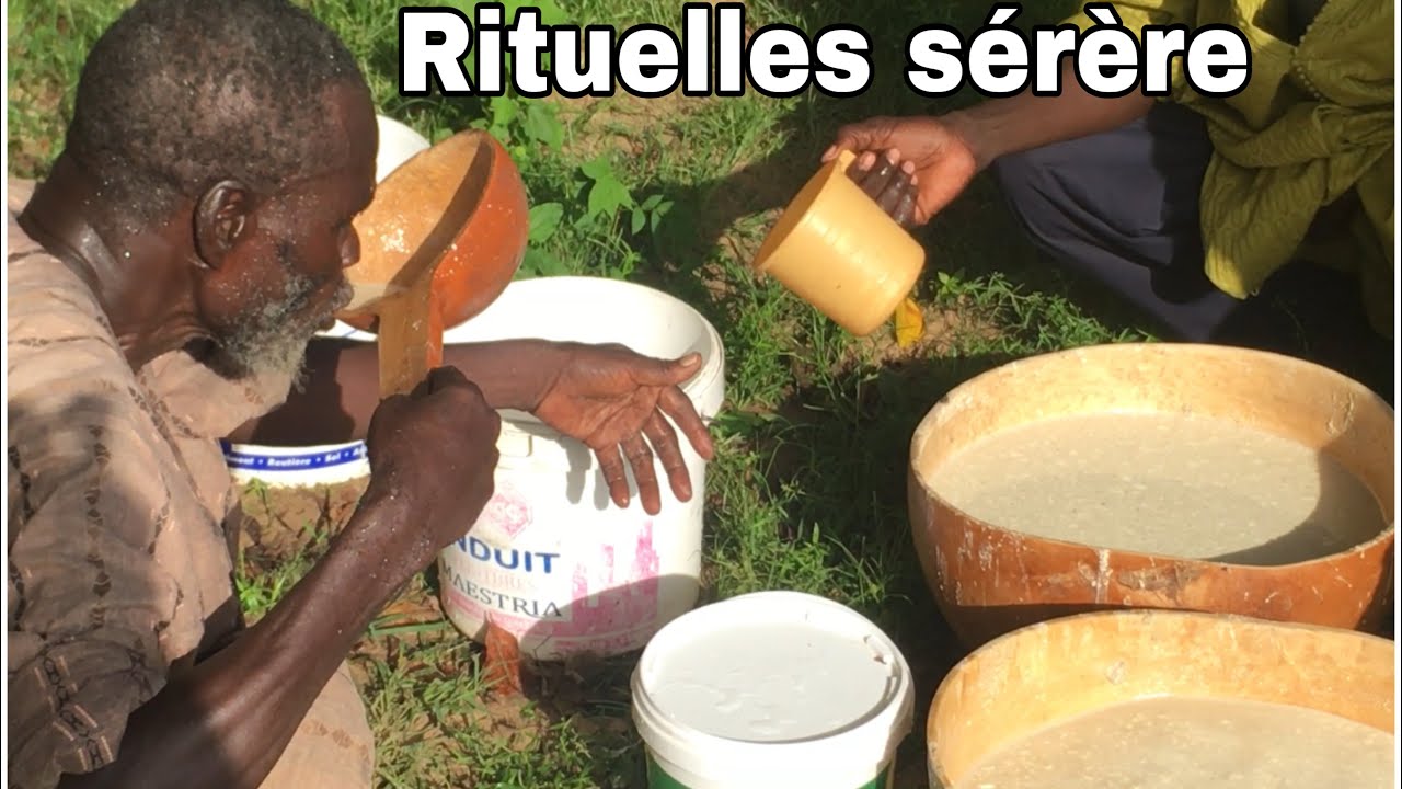 Thiossane au début de la récolte à Touba Toul / Ndiobel payene