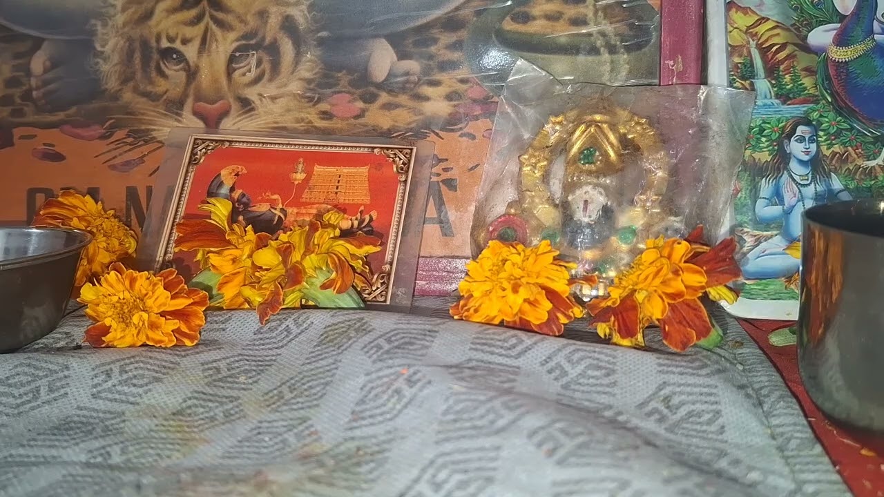 सब भाई बहनों को राम राम बाबा बाजी साहिब जी का आगे कि जानकारी