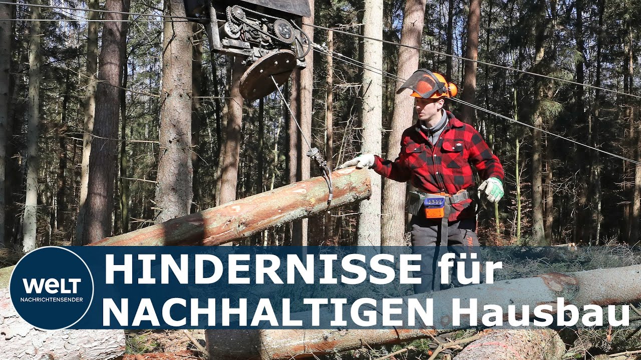 HOLZPREISE EXPLODIEREN: Immer mehr Bauunternehmen fordern Exportstopp von Rohstoffen I WELT News