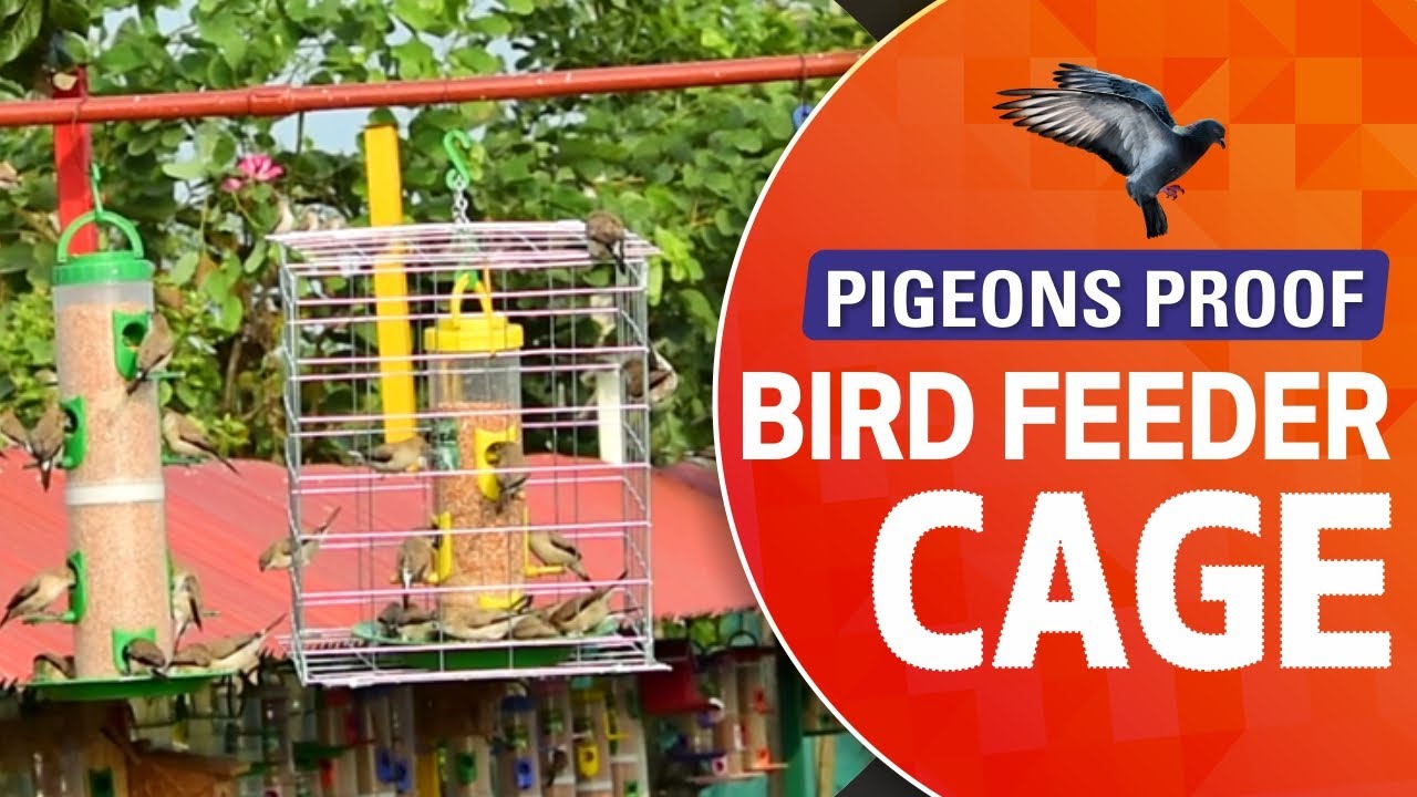 Pigeons proof bird feeder cage I अब कबूतरो से छुटकारा I Sparrow World