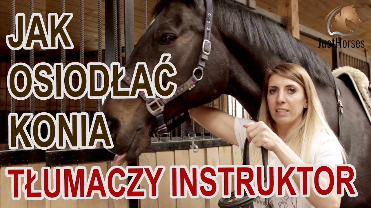 Jak Osiodłać Konia Do Jazdy? Siodłanie konia