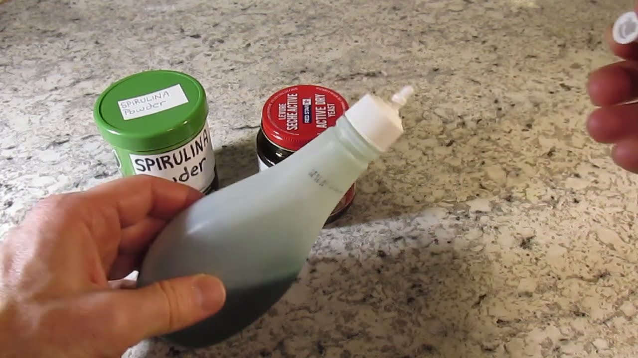 The Best Way, to Feed Daphnia 3-8-25