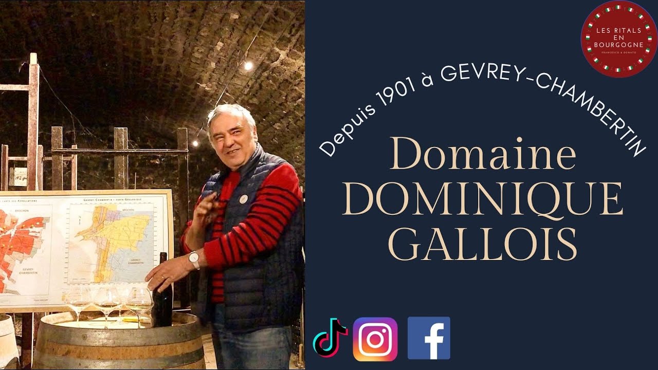 Depuis 1901 à Gevrey-Chambertin - Domaine Dominique GALLOIS