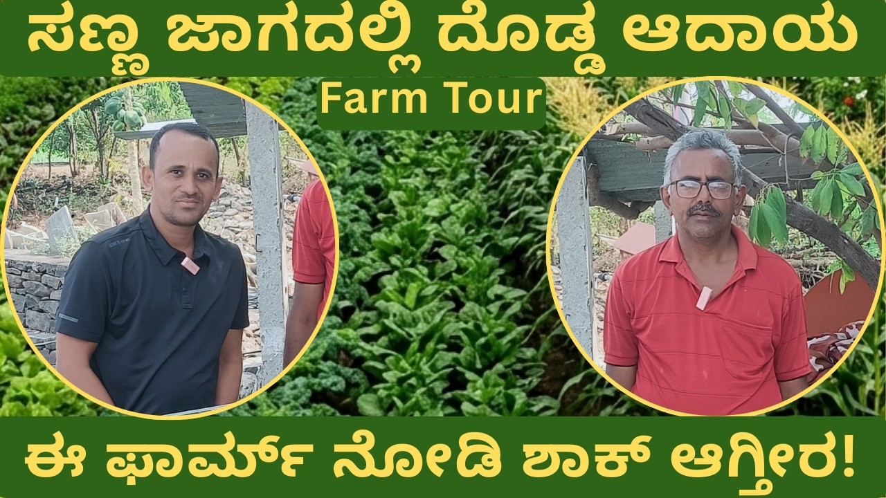 ಒಂದೇ ಫಾರ್ಮ್ (Farm)… ಹಲವು ಆದಾಯ ಮಾರ್ಗಗಳು! #farming #raita #kannada #kalaburgi #trending #karnataka