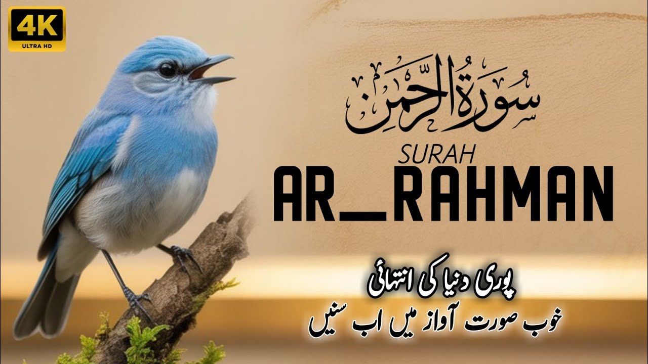 BEAUTIFUL SURAH RAHMAN RECITATION | Surah RAHMAN FULL  سورة الرحمن | Ep  19