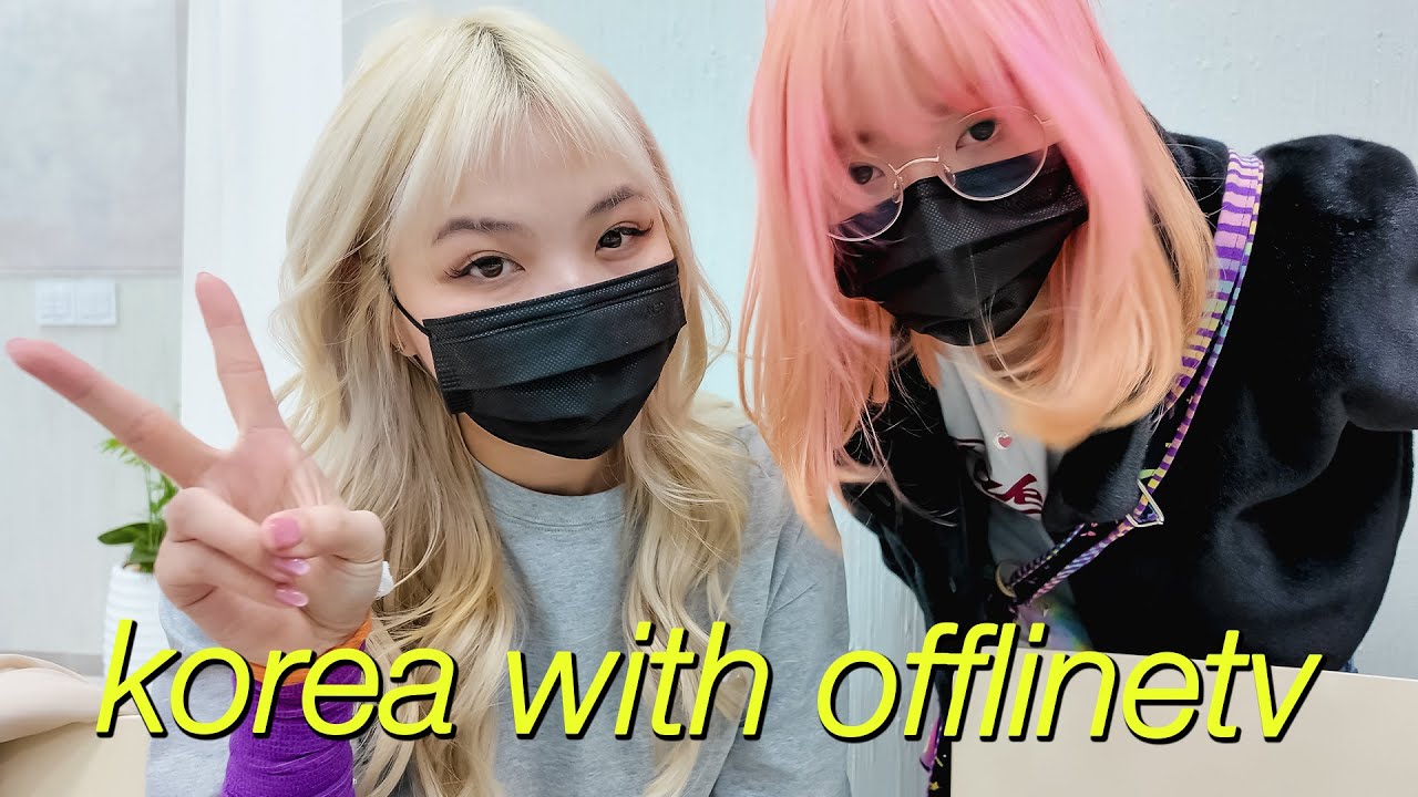 spending (too much) time with lily in korea