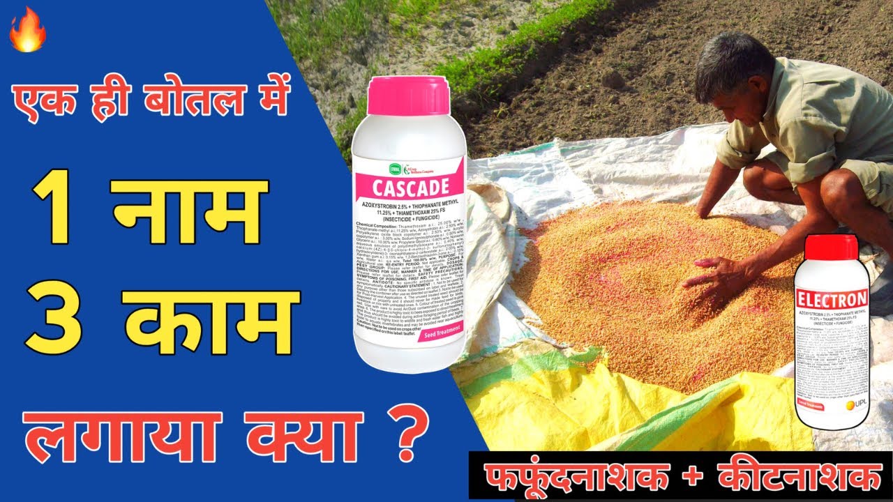 बुवाई से पहेले 90% बीमारियां और कीट ख़त्म 😱 Swal Cascade Insecticide + Fungicide Seed Treatment