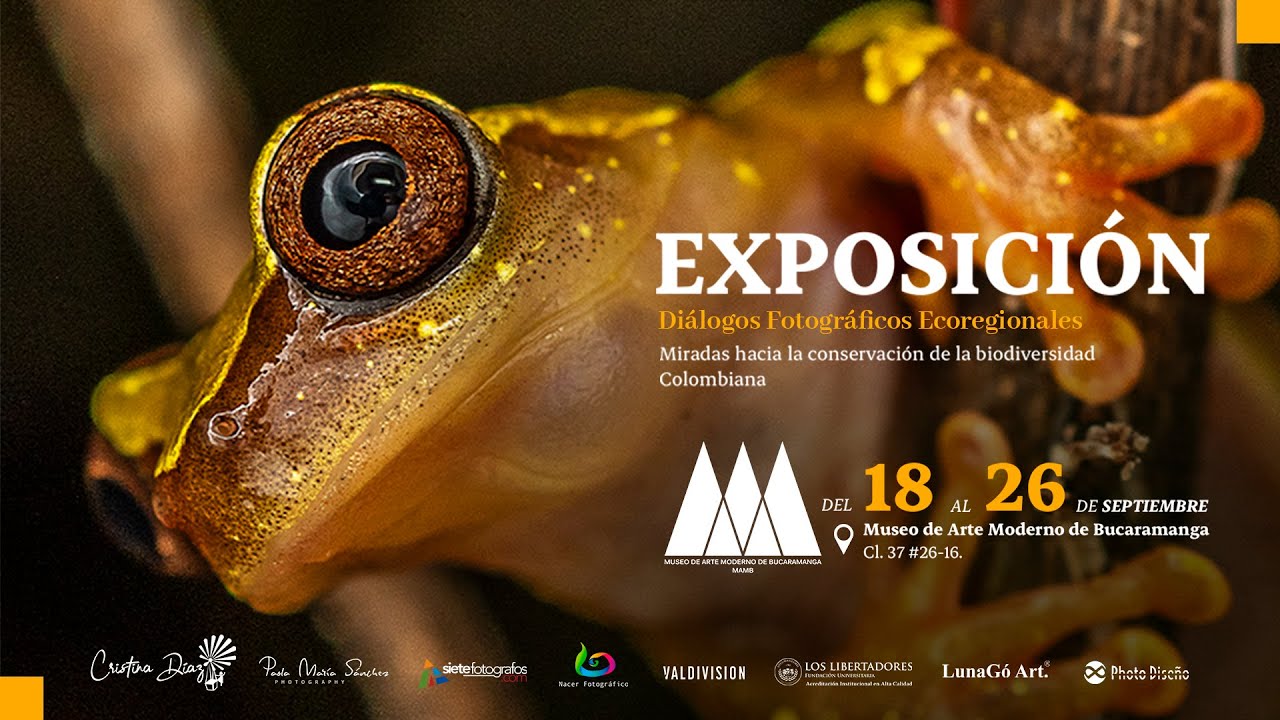 Di&aacute;logos Fotogr&aacute;ficos Ecoregionales | Miradas hacia la conservaci&oacute;n de la biodiversidad Colombiana.