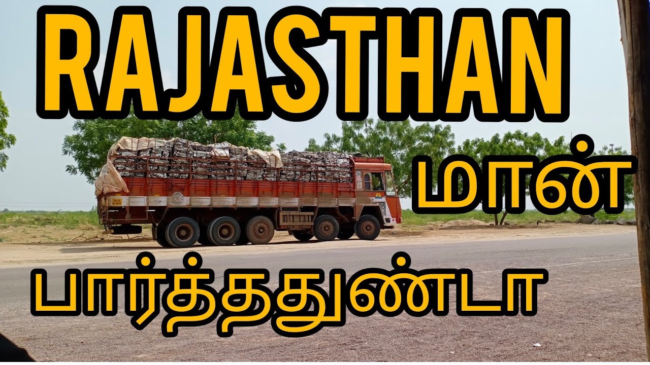 ராஜஸ்தான் மான் பார்த்ததுண்டா#lorryvlog #drivingvlog @karumalaiTN24