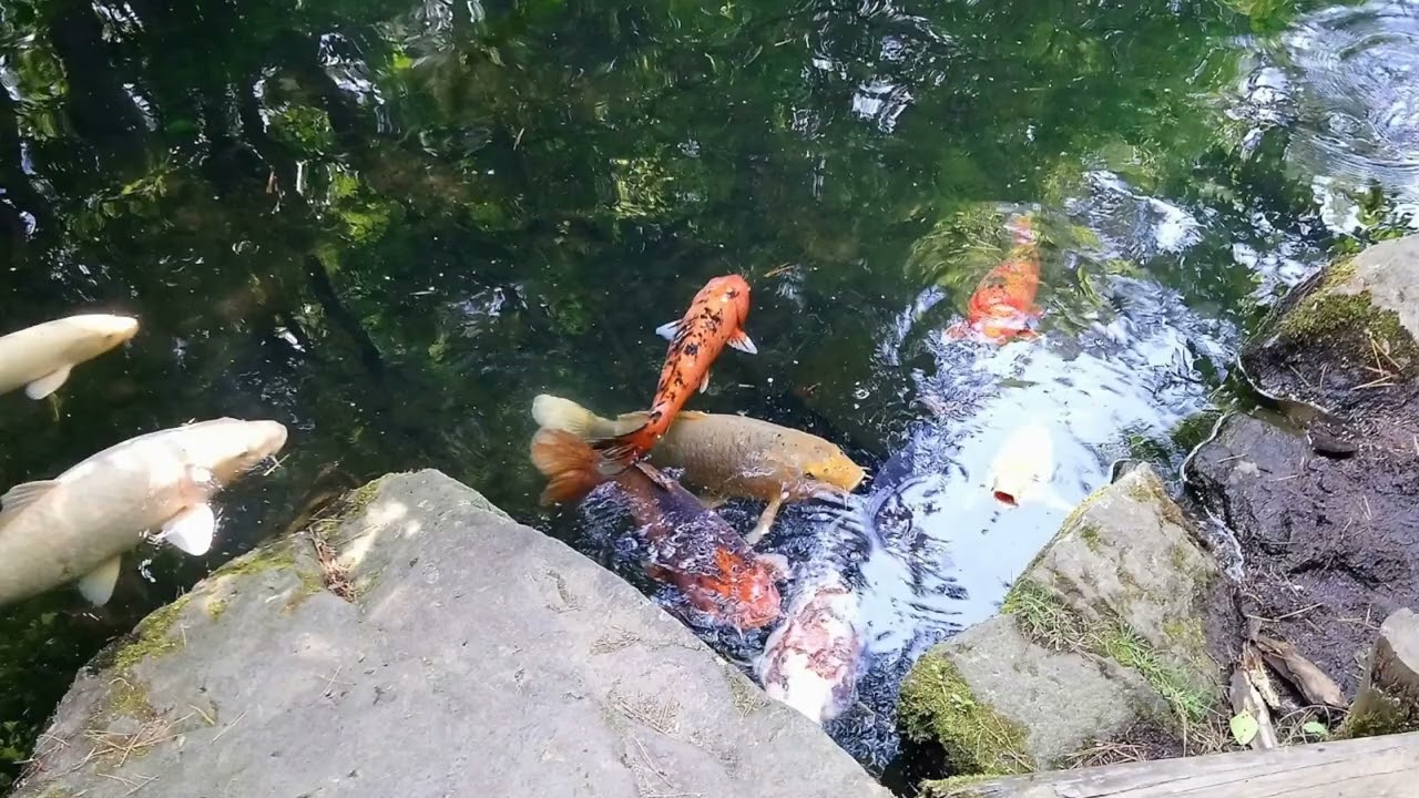 五沼色湖
