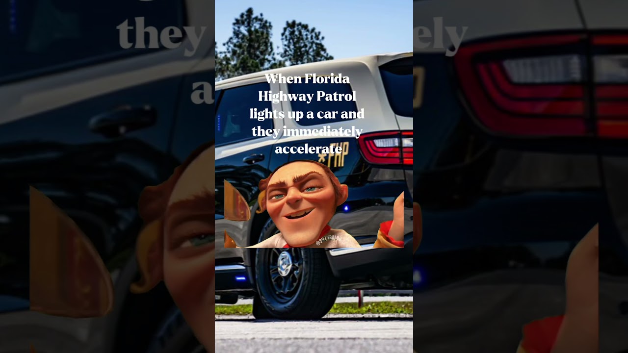 POV Florida Highway Patrol pulls over
