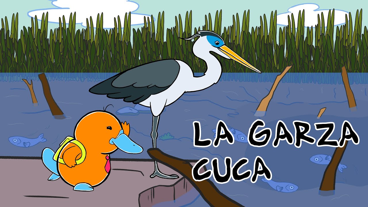 Hola Flinko - Garza Cuca / Capítulo 24 Completo Temporada 1