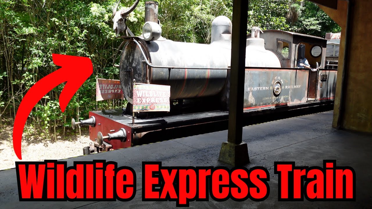 Wildlife Express Train (Walt Disney World) - Animal Kingdom - 4K POV