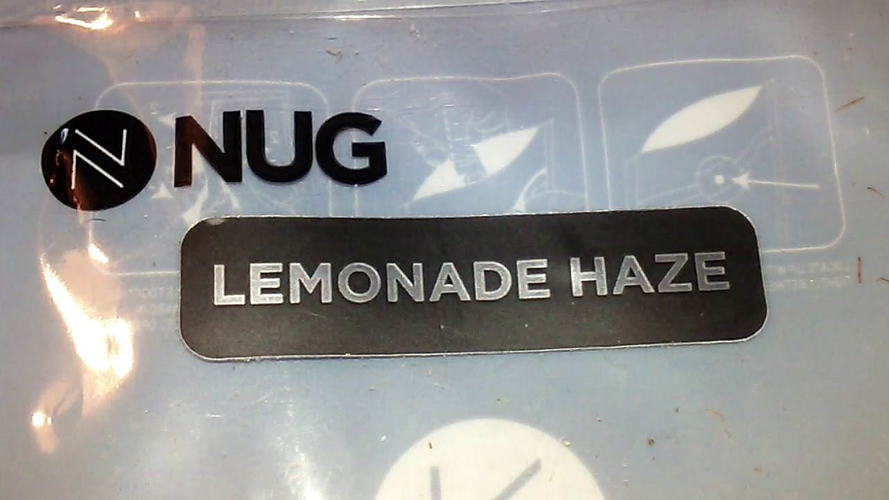 Lemonade Haze, cross between silver haze & lemon skunk