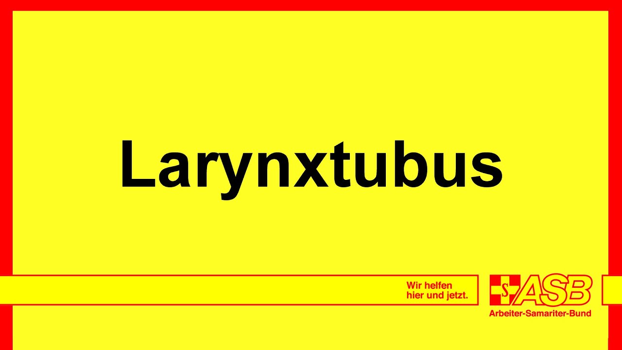 SDL | Vorbereitung & Assistenz, Larynxtubus