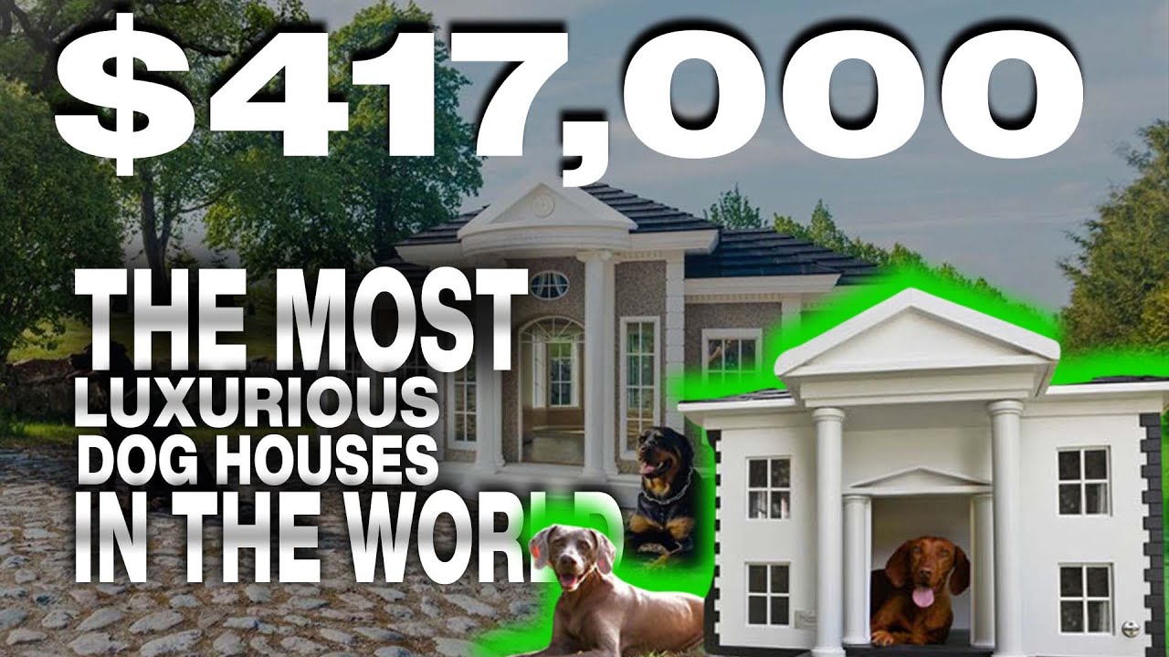 The Most Luxurious Dog Houses in the World | Luxury Channel | Luxury House