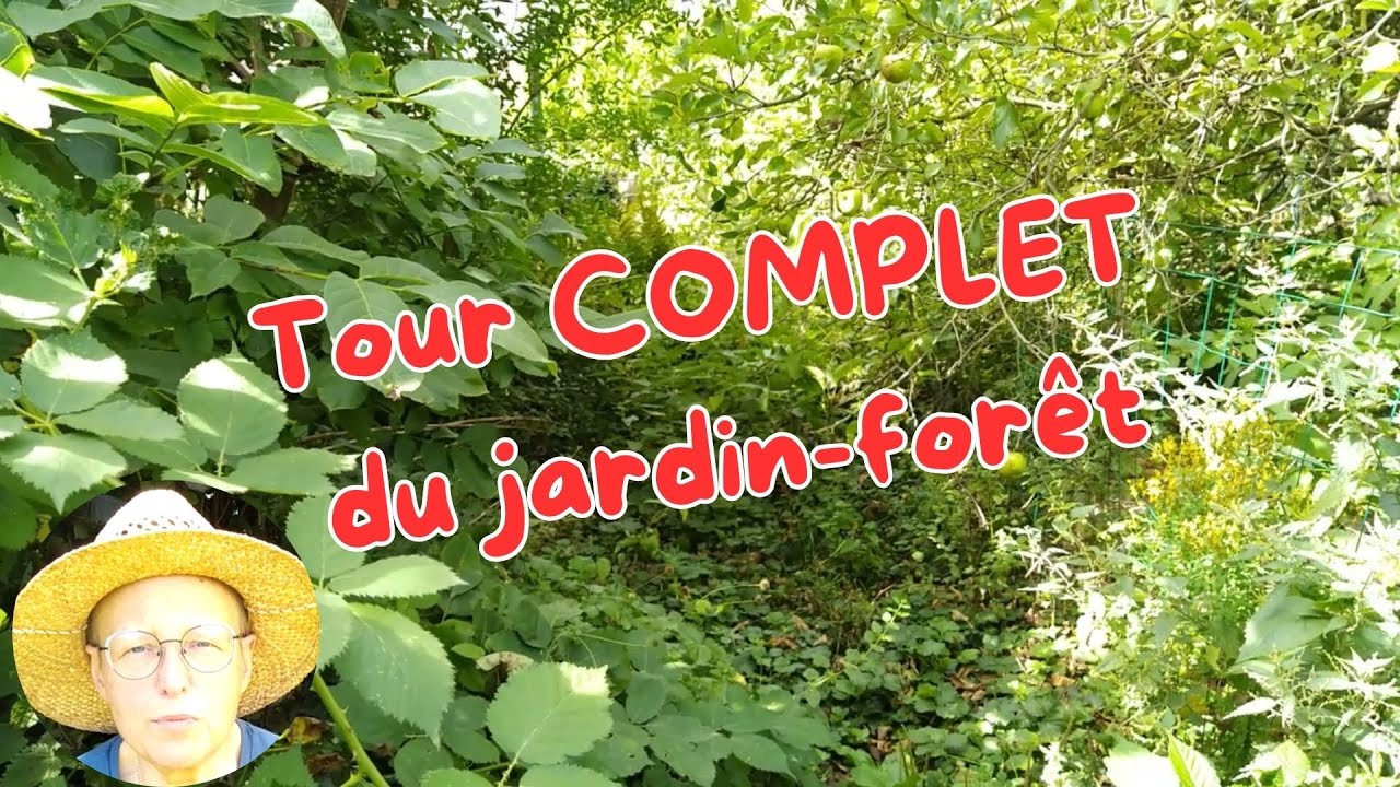 Tour Complet du Jardin forêt urbain en permaculture