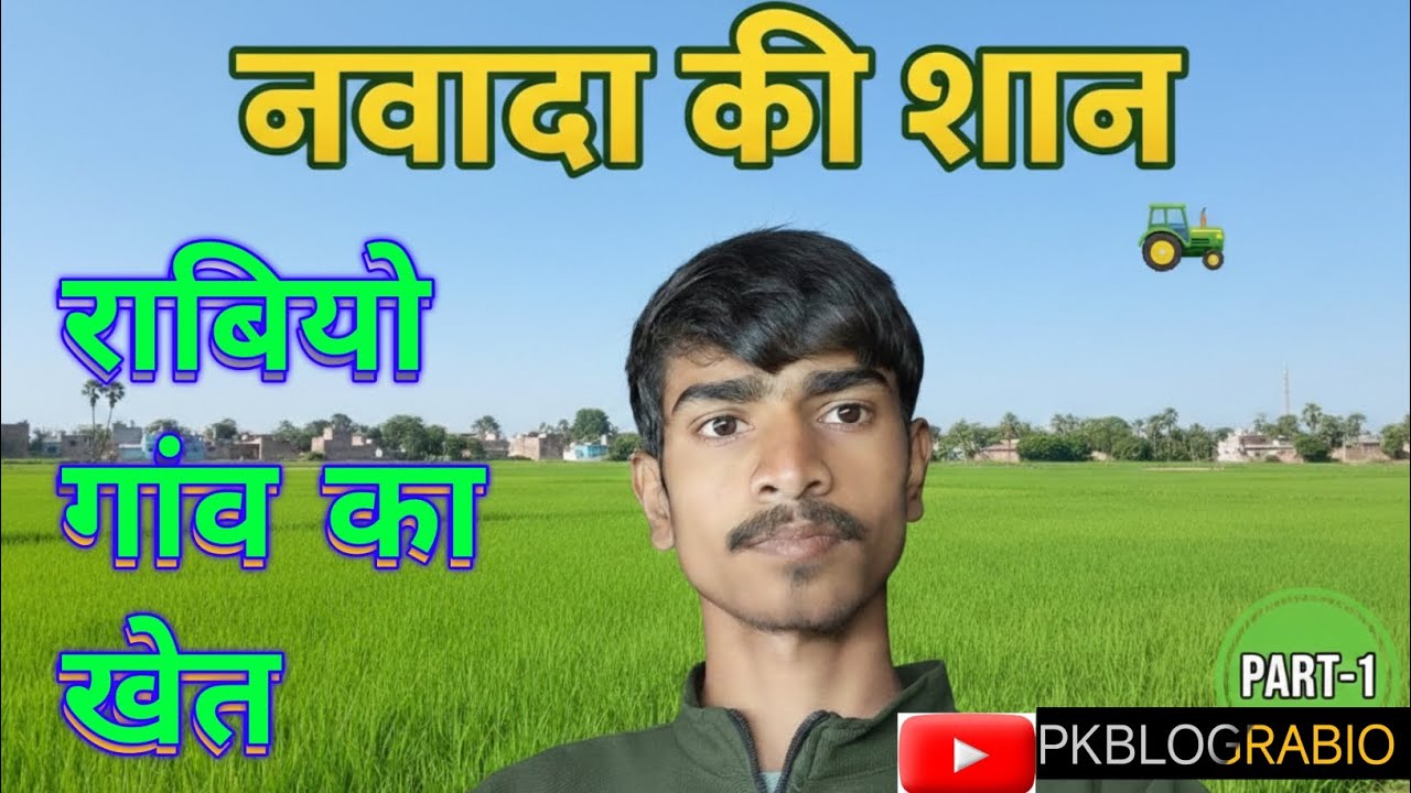 नवादा की शान हमारे रबियो गांव के खूबसूरत खेत 🌾🔥