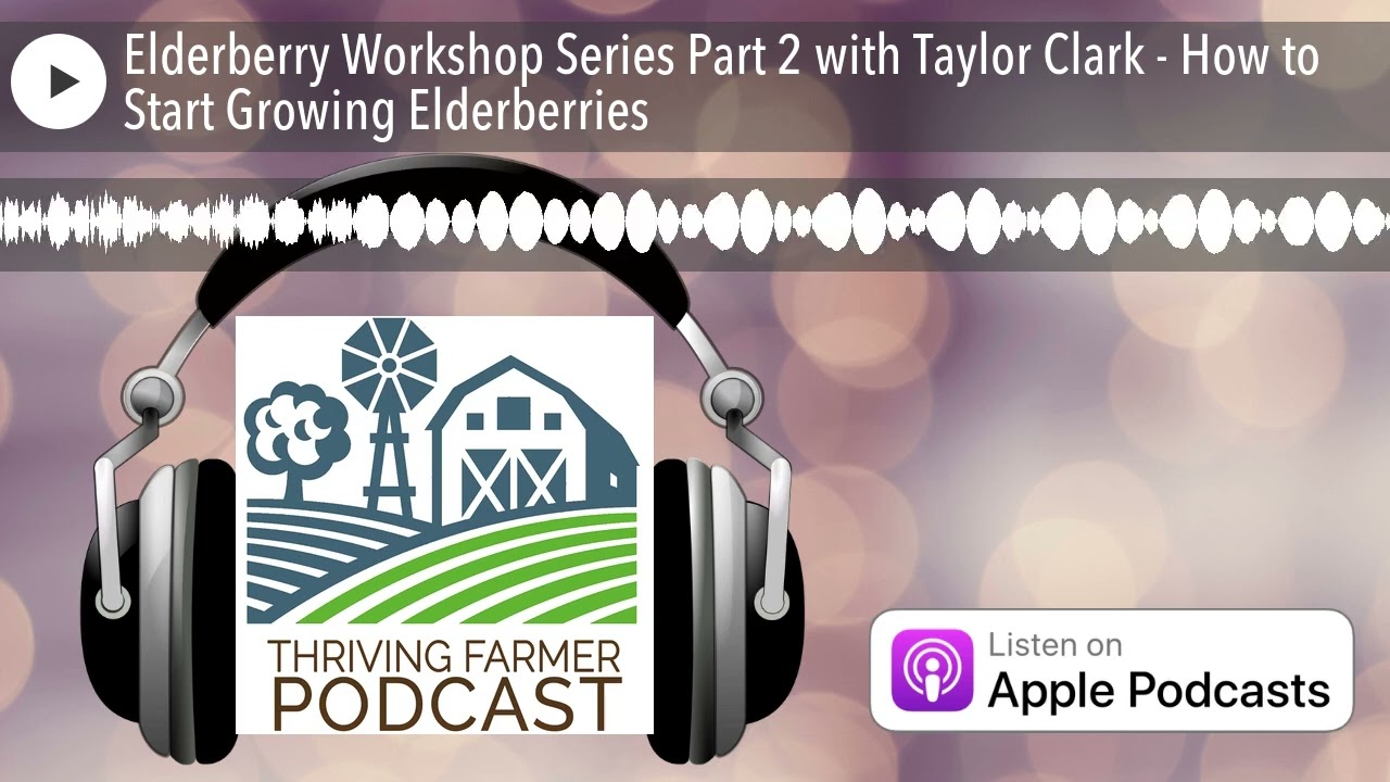 Elderberry Workshop Series Part 2 with Taylor Clark - How to Start Growing Elderberries