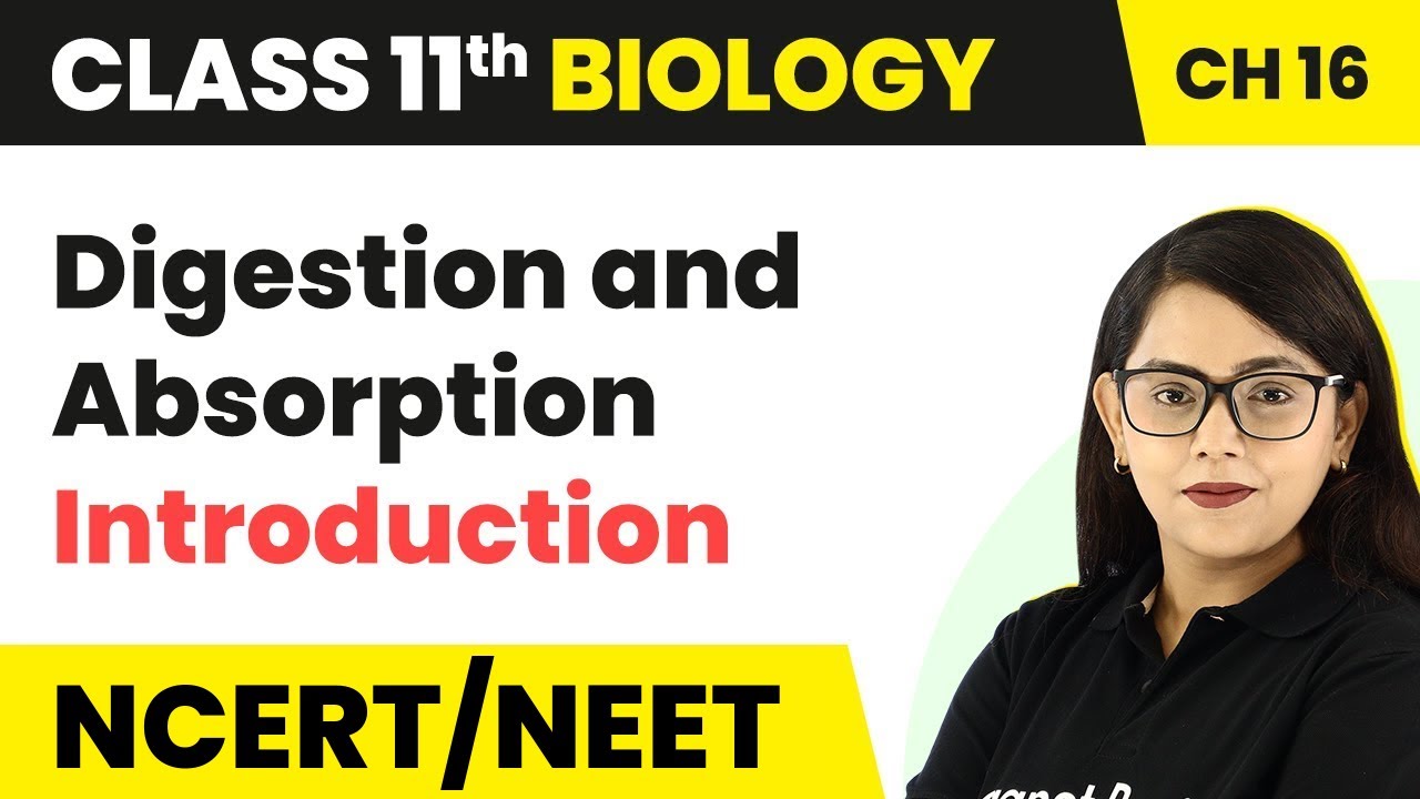 Digestion and Absorption - Introduction | Class 11 Biology