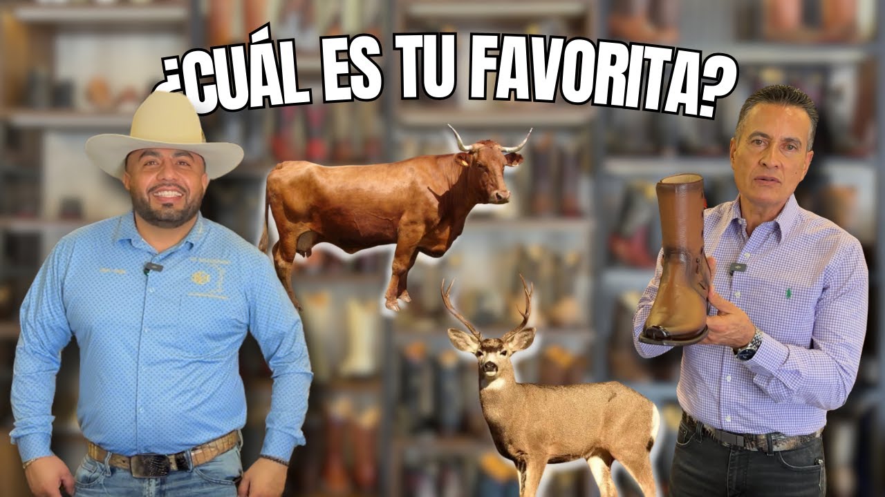 ¿Piel de Res o Venado? 😱 Mira este video antes de comprar
