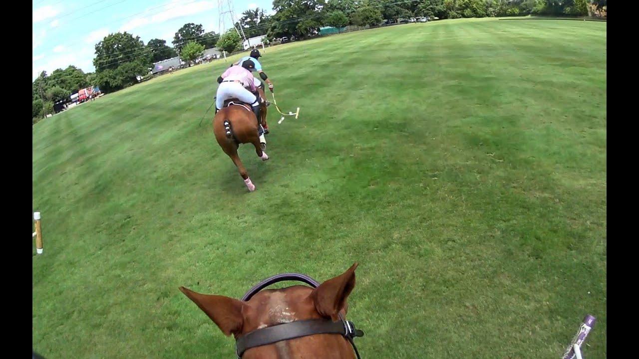 2015 07 18 Westcroft Park
