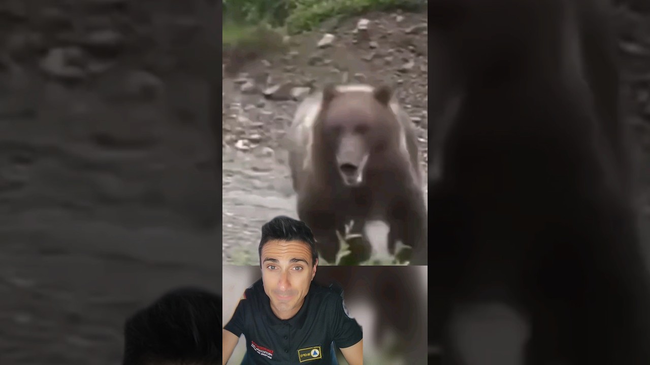 Muere por el ataque de un OSO.#supervivencia #emergencia #sabiasque