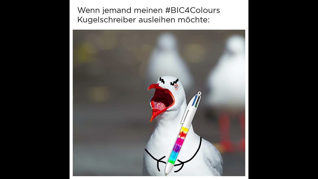 Allerlei lustige Bilder und lustige Spr&uuml;che aus Facebook und co