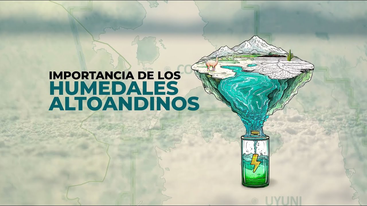 Evento Uyuni. Importancia de los Humedales Altoandinos