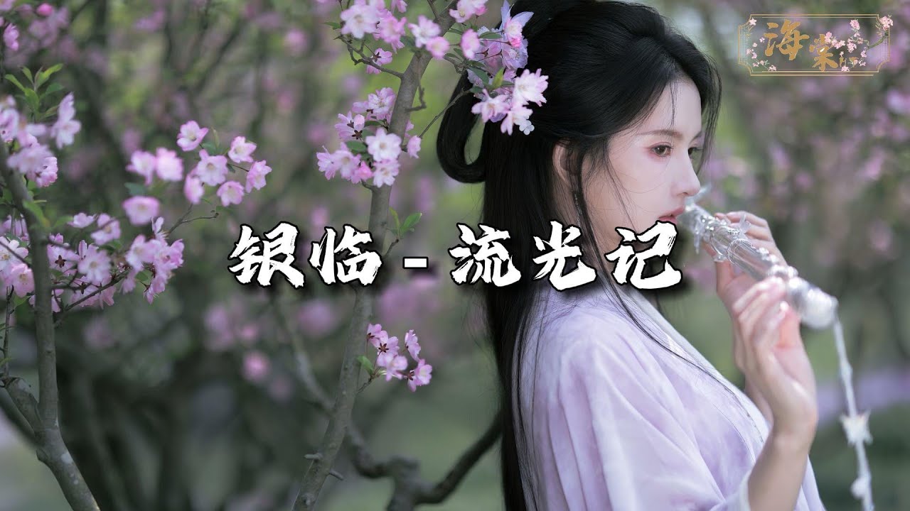 银临 - 流光记『岁月走走停停没写出游记，却把心事点一朵涟漪。』【动态歌词MV】
