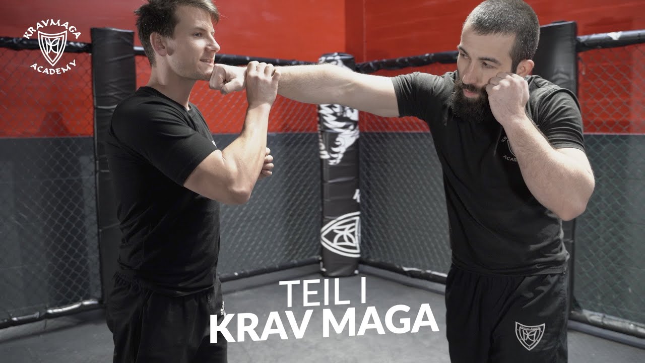 Krav Maga Techniken (Teil 1) ✘ Löwen-Fitness Braunschweig