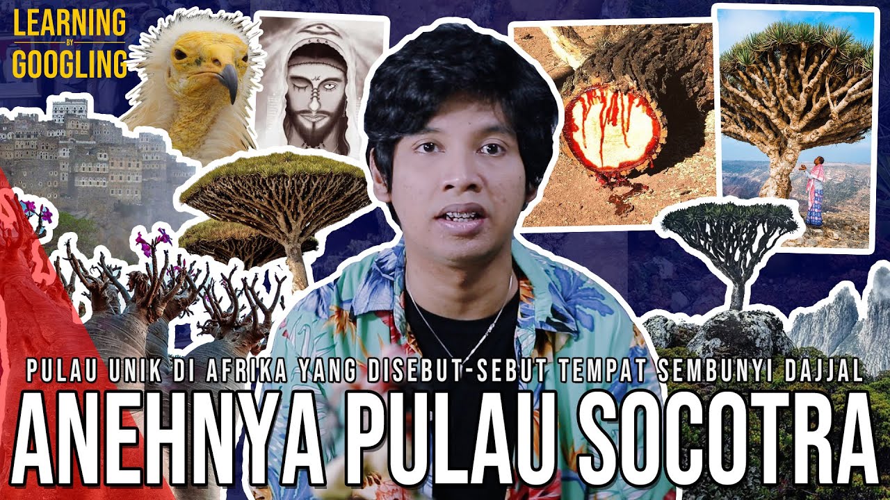 Pulau Tempat Dajjal Sembunyi Yang Jadi Rebutan Negara Arab! Uniknya Alam Socotra |LearningByGoogling