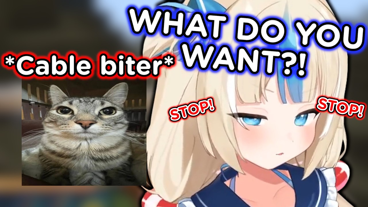 Saba Getting Attacked Live By Her Catto【Vtuber】