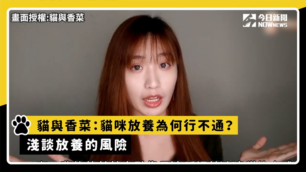 貓與香菜：貓咪放養為何行不通？淺談放養的風險