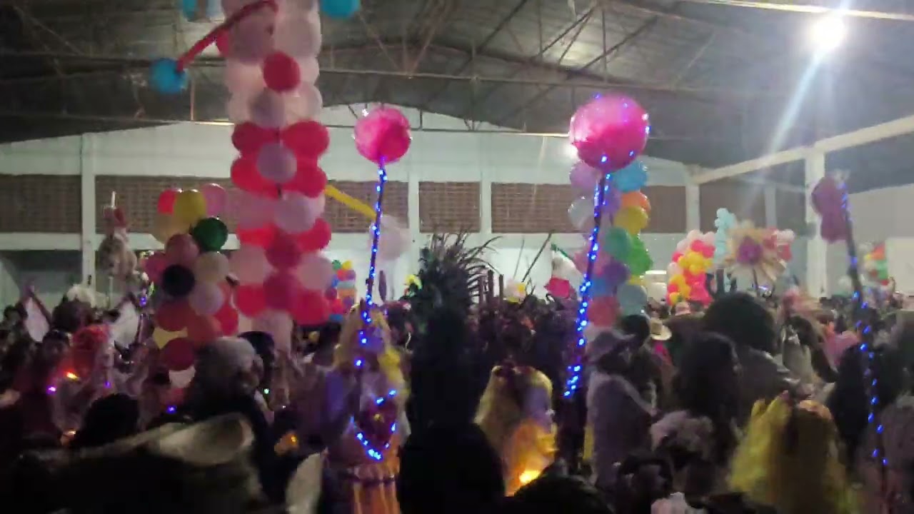 Carnaval Emiliano Zapata Alamo 4/03/25