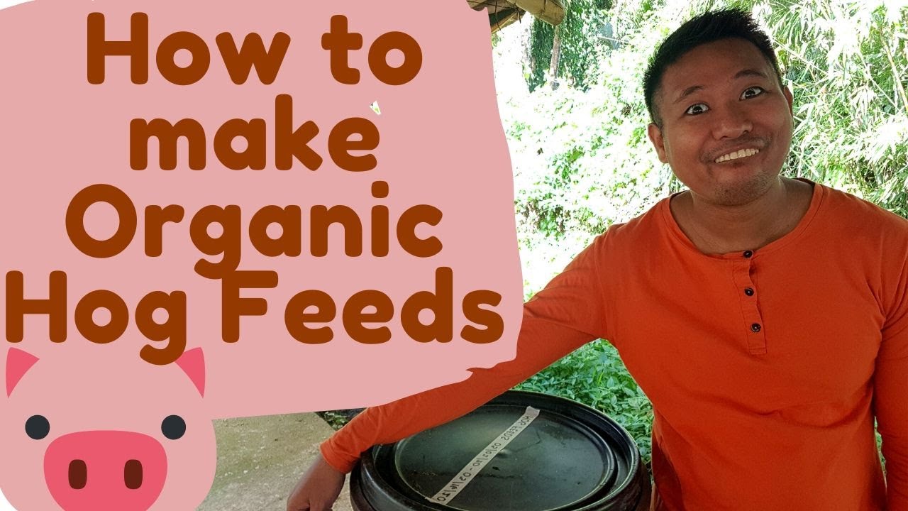 How to make Organic Hog Feeds