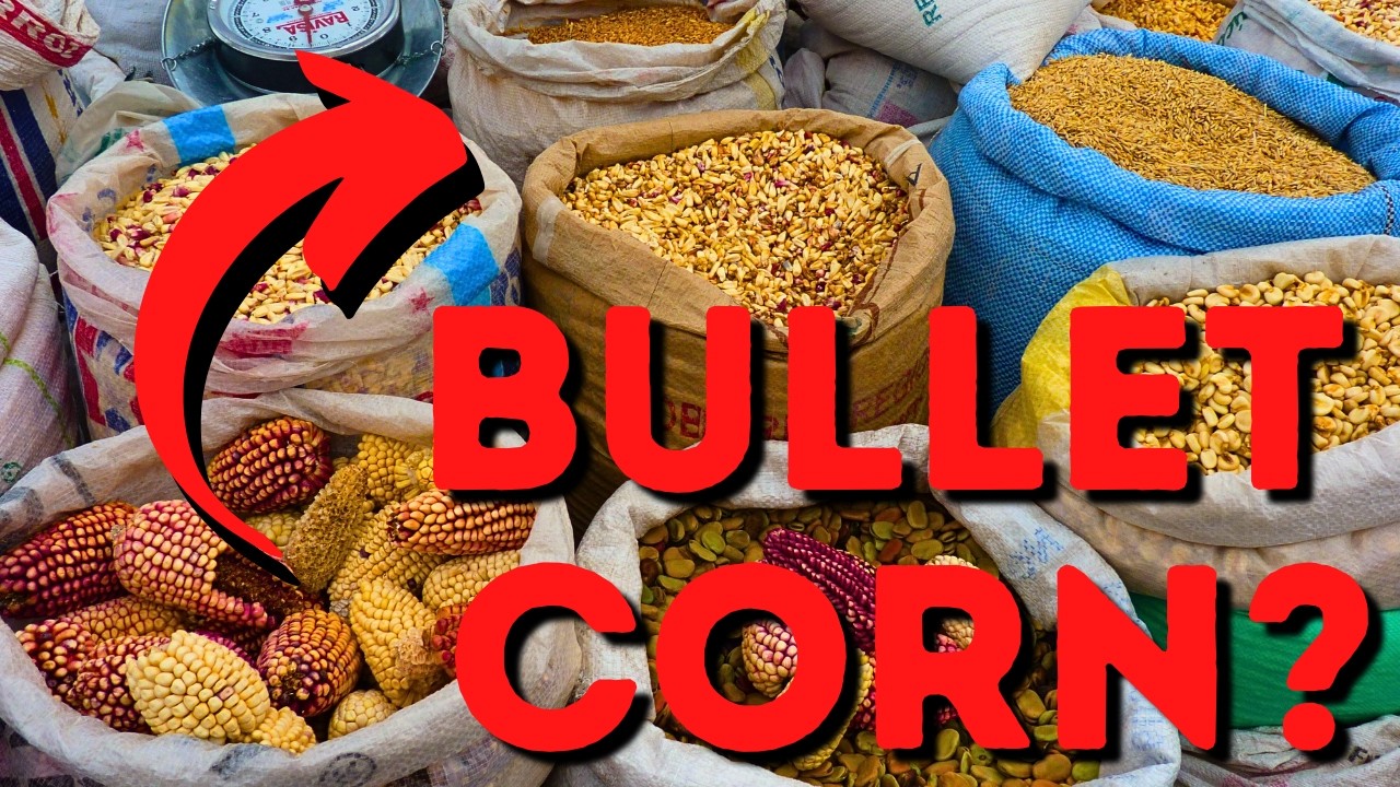 The Crops You Thought You Knew - Food of Andean Civilizations