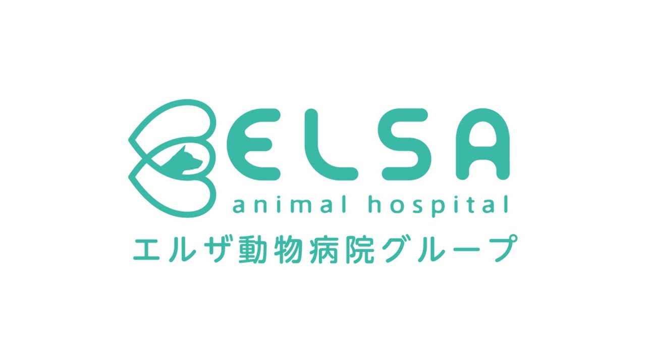 【🔰飼主さん必見】エルザ動物病院グループって？動物病院に行ったときの流れってどんなの？